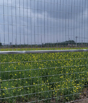 Canada Temporary Fence