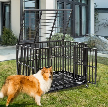 heavy duty cage