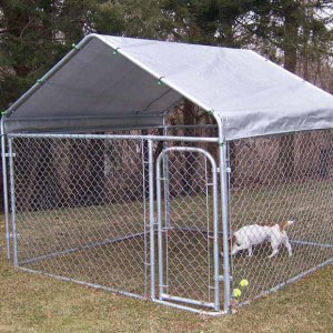 Large Dog Kennel